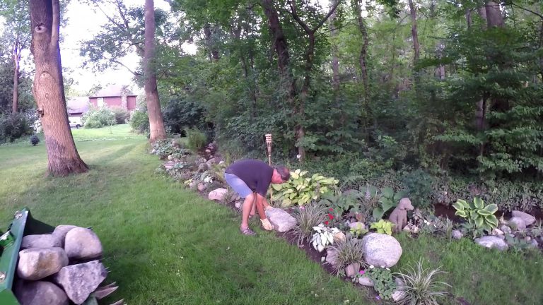 Ross & Sara’s Backyard Paradise